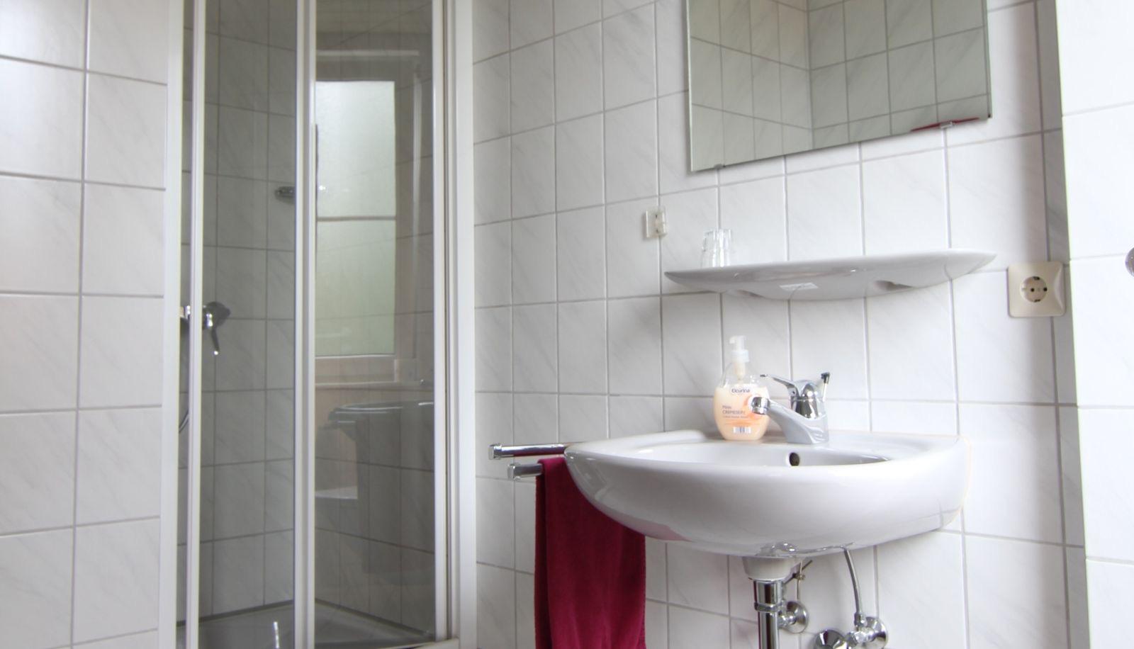 Badezimmer mit Dusche, Waschbecken und Spiegel